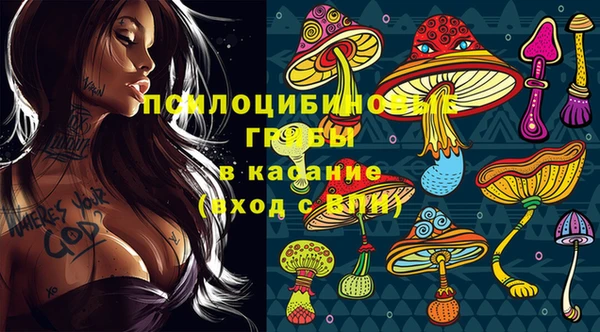 мдпв Костерёво