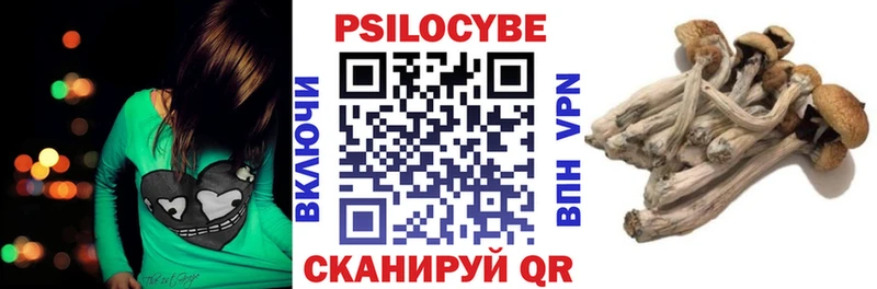 Галлюциногенные грибы Magic Shrooms  Купить  Дальнереченск 